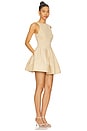 view 3 of 6 by Marianna Rini Mini Dress in Light Beige