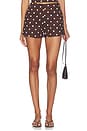 view 1 of 6 Polina Short in Brown & Ivory Dot