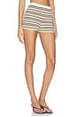view 2 of 6 Taylar Stripe Short in Neutral Multi