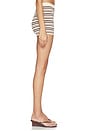 view 3 of 6 Taylar Stripe Short in Neutral Multi