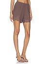 view 2 of 6 Lilah Short in Brown