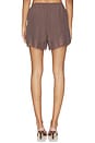 view 4 of 6 Lilah Short in Brown