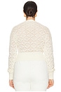 view 6 of 8 by Marianna Cami Cardigan in Ivory