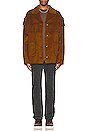 view 4 of 4 Zion Jacket in Brown