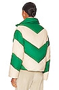 view 4 of 5 Wylee Puffer Jacket in Green & Ivory