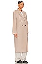 view 3 of 4 x Marianna Paloma Coat in Beige
