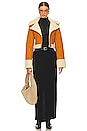 view 5 of 5 x Bridget Taryn Fitted Shearling Jacket in Tan