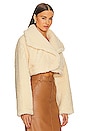 view 2 of 4 Peyton Cropped Sherpa Jacket in Wheat