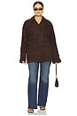 view 8 of 8 by Marianna Elae Suede Jacket in Chocolate Brown