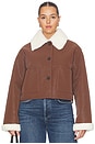 view 4 of 10 By Marianna Ayla Jacket in Brown & Ivory