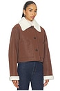 view 5 of 10 By Marianna Ayla Jacket in Brown & Ivory
