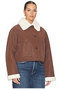 view 6 of 10 By Marianna Ayla Jacket in Brown & Ivory
