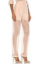 view 2 of 4 The Damiana Pant in Nude