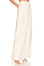 view 2 of 4 Marina Pant in Beige
