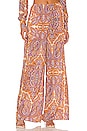 view 1 of 4 Palma Pant in Aria Multi Paisley