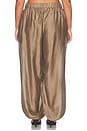 view 8 of 11 by Marianna Harmi Pant in Brown