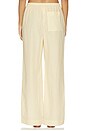 view 4 of 6 PANTALON MICAH in Yellow Stripe