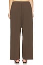view 7 of 11 PANTALON NICOLY in Mocha