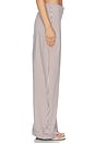 view 8 of 12 Freya Pant in Brown & Blue Stripe