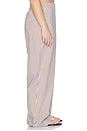 view 9 of 12 Freya Pant in Brown & Blue Stripe