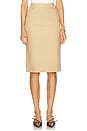 view 1 of 6 by Marianna Provins Midi Skirt in Tan