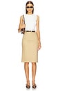 view 5 of 6 by Marianna Provins Midi Skirt in Tan