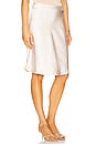 view 3 of 11 by Marianna Etienne Skirt in Pink