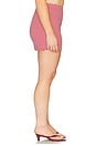 view 6 of 11 by Marianna Harlow Skirt in Red & Pink Stripe