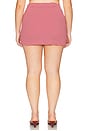 view 8 of 11 by Marianna Harlow Skirt in Red & Pink Stripe