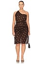 view 10 of 13 FALDA RAMONA in Brown & Purple Dot