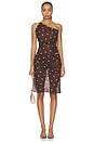 view 9 of 13 FALDA RAMONA in Brown & Purple Dot