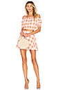 view 4 of 4 The Circle Skirt in Sherbert Gingham