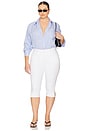 view 8 of 9 Rosalyn Button Down Shirt in Blue Stripe