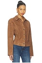 view 3 of 8 By Marianna Dara Suede Button-down Shirt in Toffee