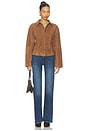 view 7 of 8 By Marianna Dara Suede Button-down Shirt in Toffee