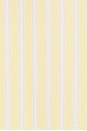 view 5 of 5 CAMISA ROMY in Yellow Stripe