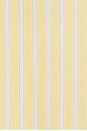 view 5 of 5 Romy Bra Top in Yellow Stripe