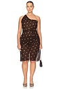 view 8 of 8 Ramona Top in Brown & Purple Dot