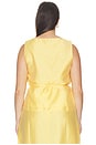 view 6 of 8 ASHBY トップ in Lemon