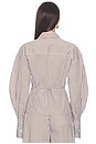 view 6 of 9 Freya Shirt in Brown & Blue Stripe