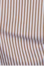 view 10 of 9 Freya Shirt in Brown & Blue Stripe