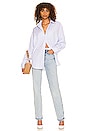 view 5 of 4 Bastien Button Down Top in Blue & White Stripe