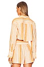 view 3 of 4 Manon Cropped Shirt in Chai Stripe
