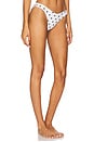 view 3 of 4 by Marianna Cherie Bottom in Cream & Black Dot