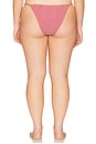 view 6 of 9 by Marianna Harlow Bottom in Red & Pink Stripe
