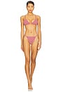 view 7 of 9 by Marianna Harlow Bottom in Red & Pink Stripe