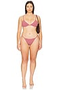 view 8 of 9 by Marianna Harlow Bottom in Red & Pink Stripe