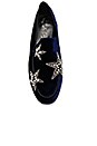 view 4 of 5 ZAPATOS PLANOS CON ESTRELLA in Blue