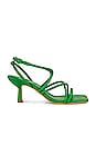 view 1 of 5 SANDALES SIVI in Green