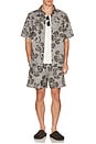 view 3 of 4 Charlie Poppy All Over Print Shorts in Olive Night